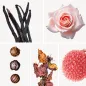 Preview: Duftnoten: Vanille, Rose, Praline, Patschuli, Litschi Preview: Duftnoten: Vanille, Rose, Praline, Patschuli, Litschi